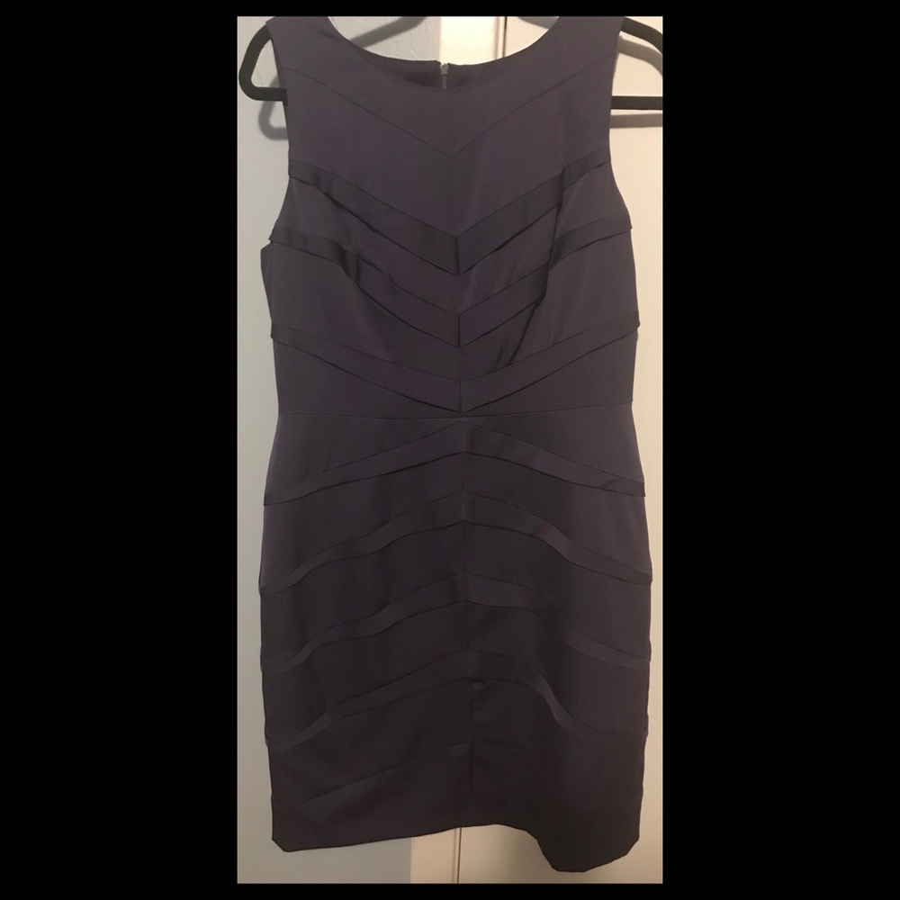 Adrianna Pappell Eggplant Sheath